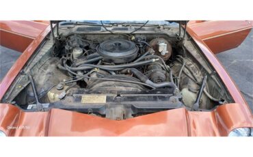 Chevrolet-Camaro-1980-Bronze-Black-88