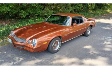 Chevrolet-Camaro-1980-Bronze-Black-9