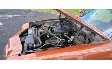 Chevrolet-Camaro-1980-Bronze-Black-90