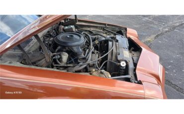 Chevrolet-Camaro-1980-Bronze-Black-91