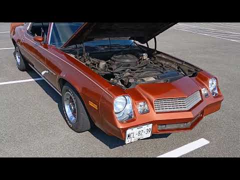 Chevrolet-Camaro-1980-Bronze-Black