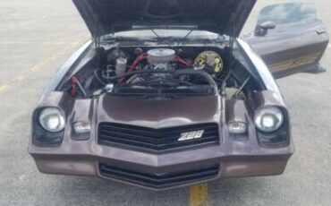 Chevrolet-Camaro-1980-Brown-Tan-1