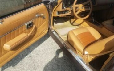 Chevrolet-Camaro-1980-Brown-Tan-10