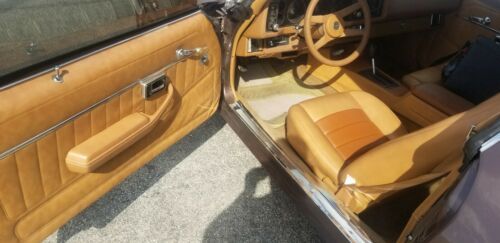 Chevrolet-Camaro-1980-Brown-Tan-10