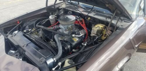 Chevrolet-Camaro-1980-Brown-Tan-12