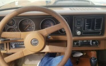 Chevrolet-Camaro-1980-Brown-Tan-14
