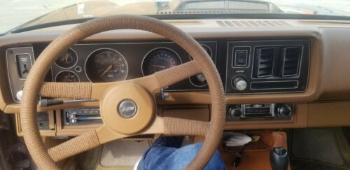 Chevrolet-Camaro-1980-Brown-Tan-14