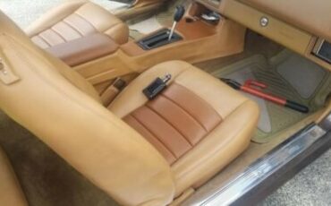 Chevrolet-Camaro-1980-Brown-Tan-16