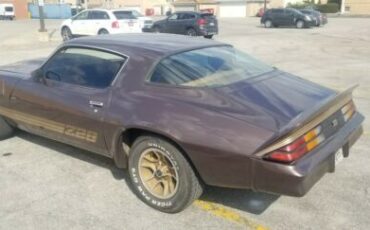 Chevrolet-Camaro-1980-Brown-Tan-3