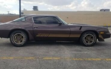 Chevrolet-Camaro-1980-Brown-Tan