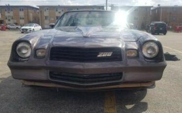 Chevrolet-Camaro-1980-Brown-Tan-4