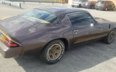 Chevrolet-Camaro-1980-Brown-Tan-6