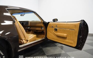 Chevrolet-Camaro-1980-Dark-Brown-Tan-31