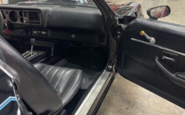Chevrolet-Camaro-1981-31