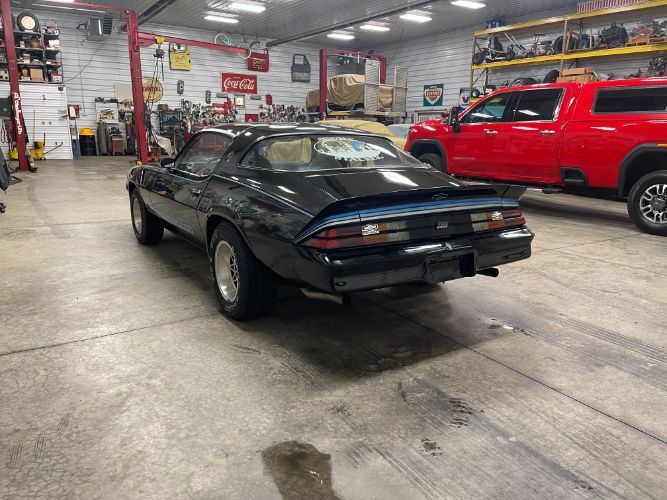 Chevrolet-Camaro-1981-34