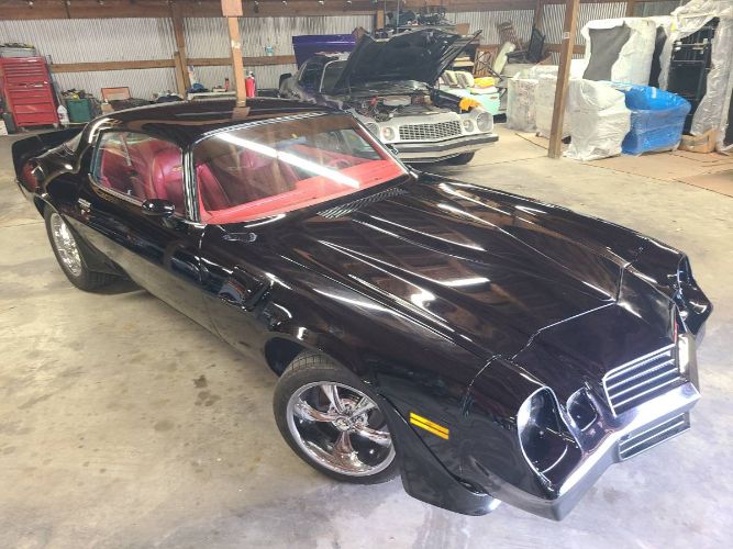 Chevrolet-Camaro-1981-Black-13