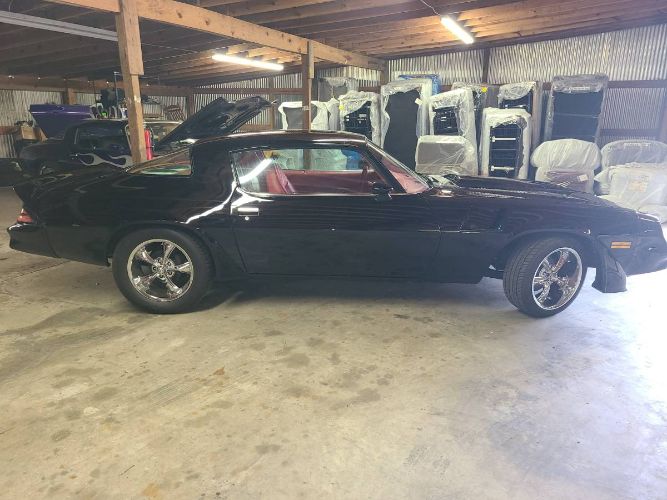 Chevrolet-Camaro-1981-Black-8