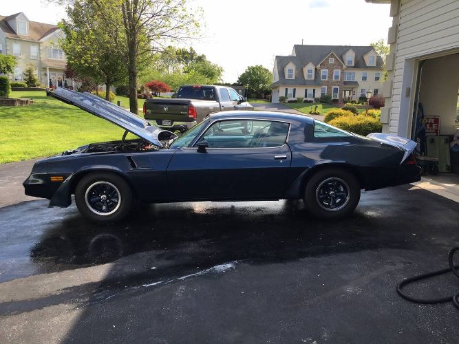 Chevrolet-Camaro-1981-Blue-1