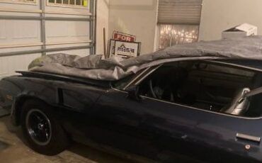 Chevrolet-Camaro-1981-Blue-3