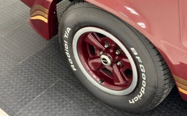 Chevrolet-Camaro-1981-Maroon-Camel-14