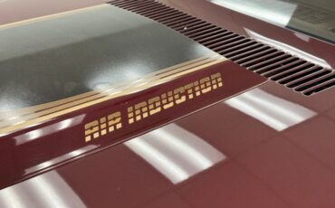Chevrolet-Camaro-1981-Maroon-Camel-16