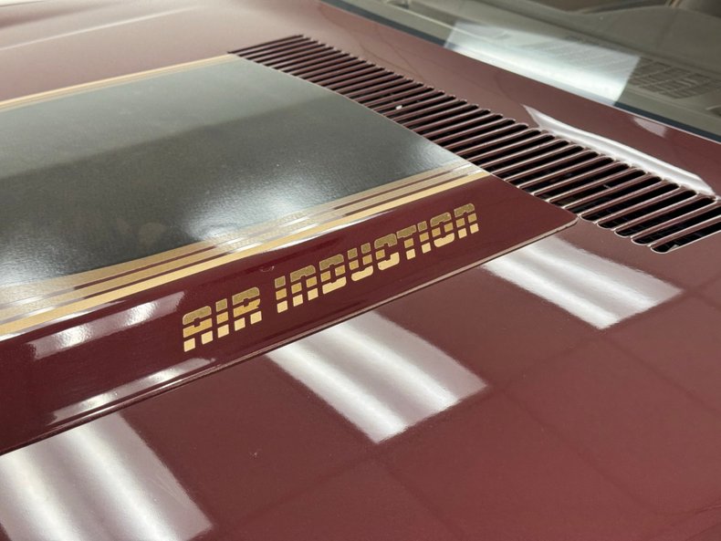 Chevrolet-Camaro-1981-Maroon-Camel-16