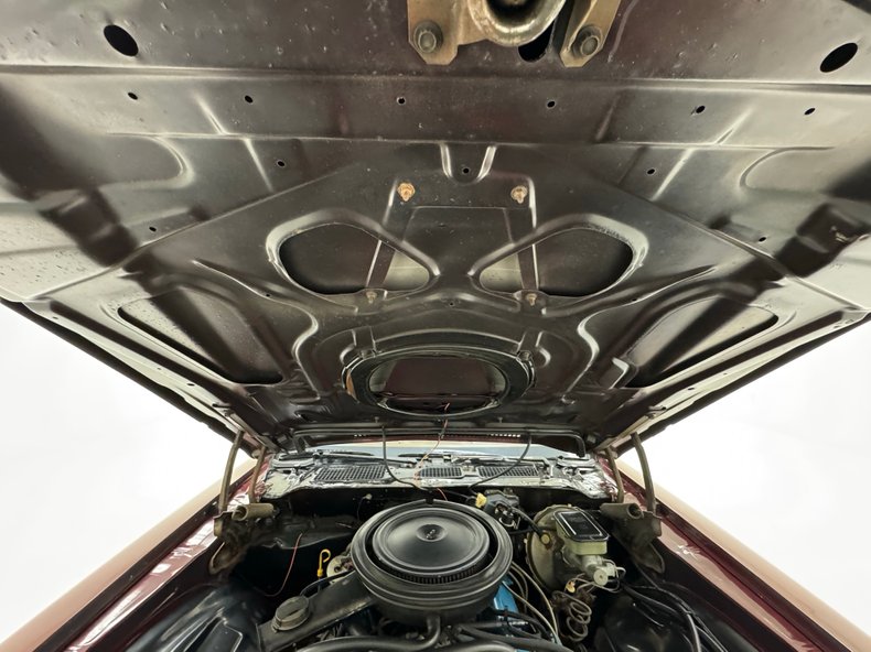 Chevrolet-Camaro-1981-Maroon-Camel-25
