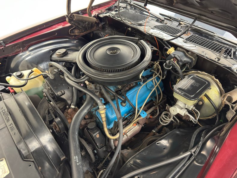 Chevrolet-Camaro-1981-Maroon-Camel-28