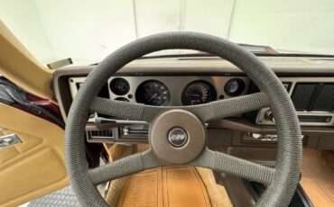 Chevrolet-Camaro-1981-Maroon-Camel-30