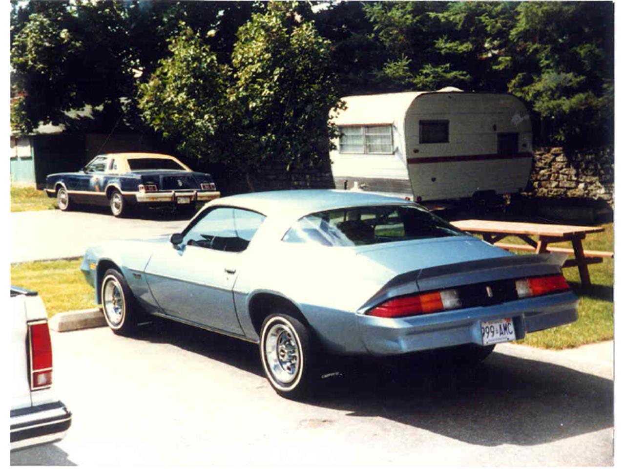 Chevrolet-Camaro-1981-Powder-Blue-Navy-Blue-1