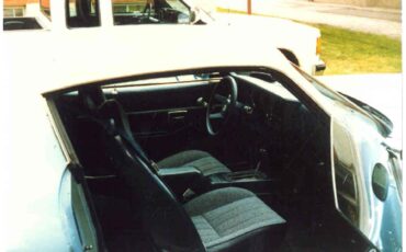 Chevrolet-Camaro-1981-Powder-Blue-Navy-Blue-2