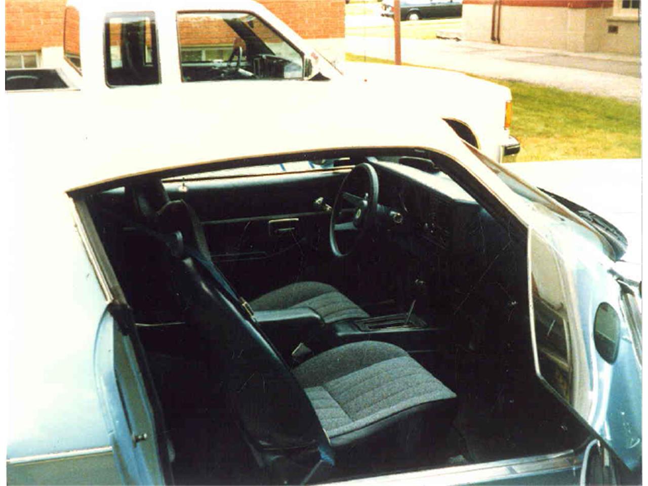 Chevrolet-Camaro-1981-Powder-Blue-Navy-Blue-2