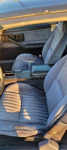 Chevrolet-Camaro-1982-Blue-3
