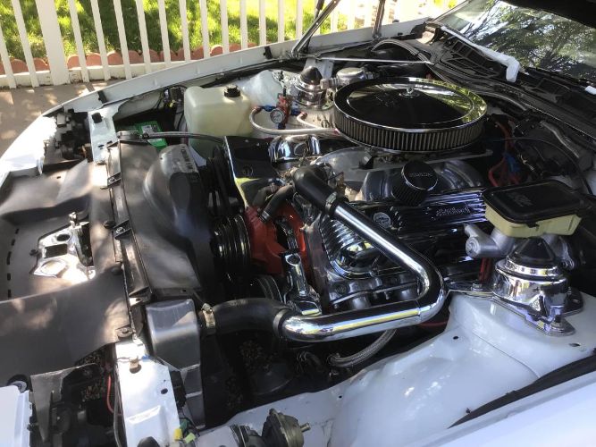 Chevrolet-Camaro-1982-White-10