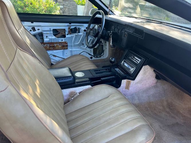Chevrolet-Camaro-1982-White-10