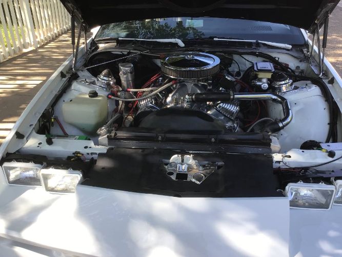 Chevrolet-Camaro-1982-White-11