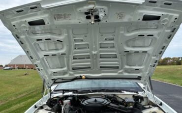 Chevrolet-Camaro-1990-White-Gray-22