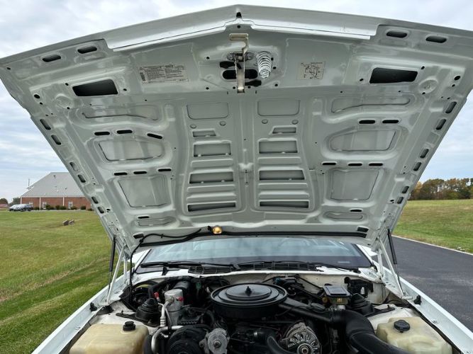 Chevrolet-Camaro-1990-White-Gray-22