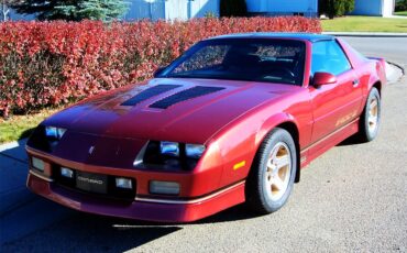 Chevrolet-Camaro-iroc-z28-1989-Copper-Grey-8