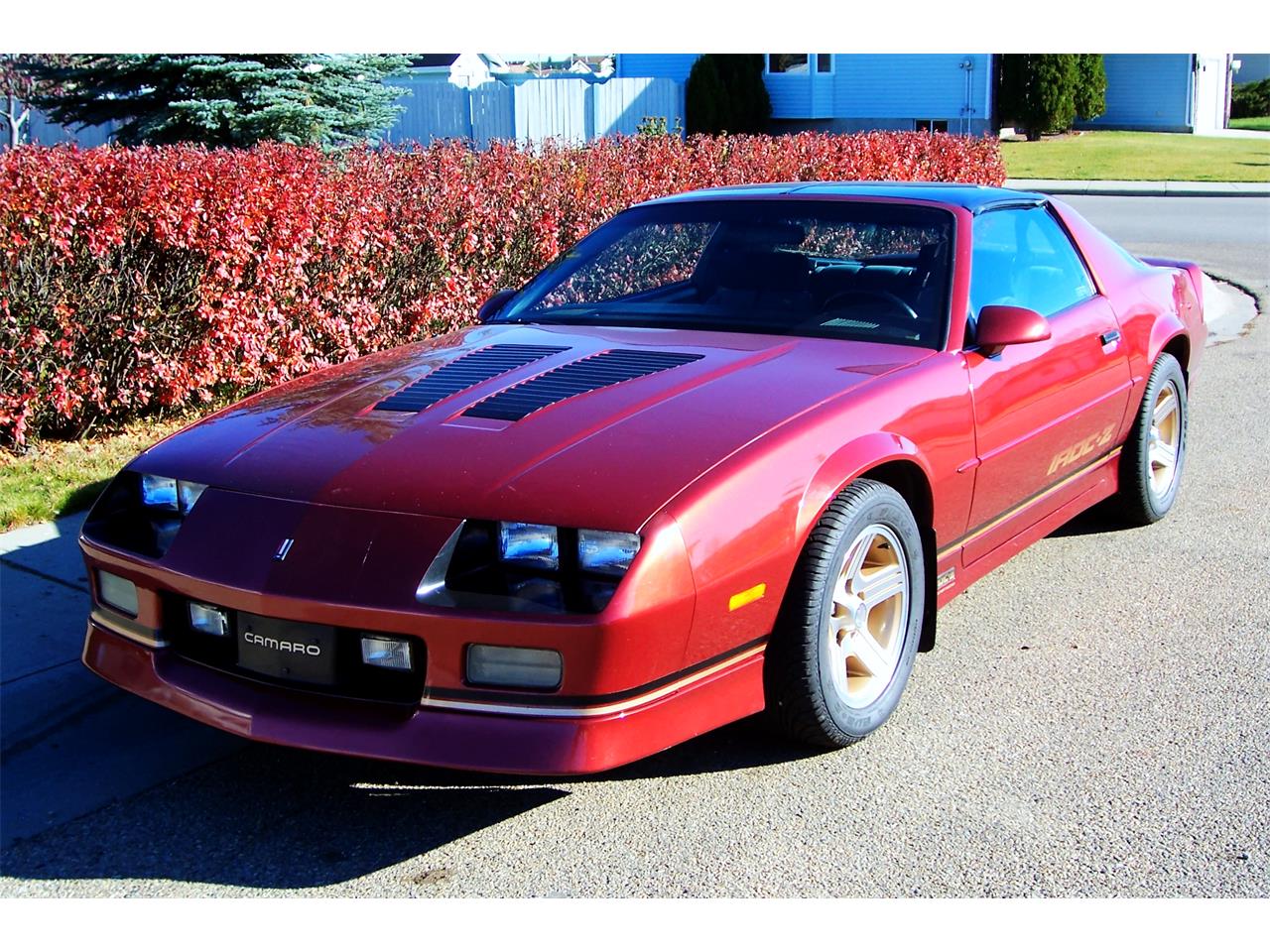 Chevrolet-Camaro-iroc-z28-1989-Copper-Grey-8