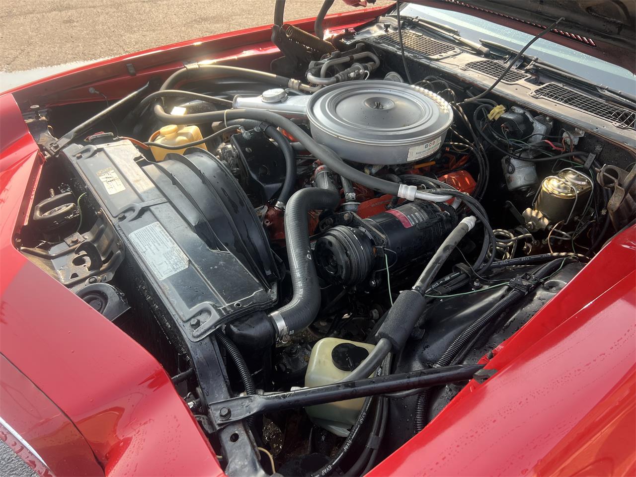 Chevrolet-Camaro-rs-1972-Red-white-vinyl-ro-White-21