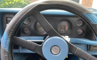 Chevrolet-Camaro-z28-1980-Blue-Blue-14