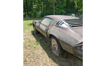 Chevrolet-Camaro-z28-1981-1