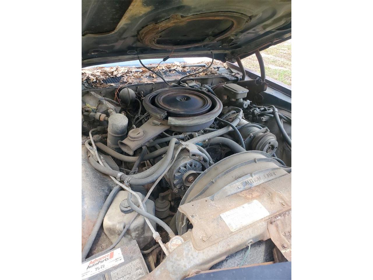 Chevrolet-Camaro-z28-1981-2