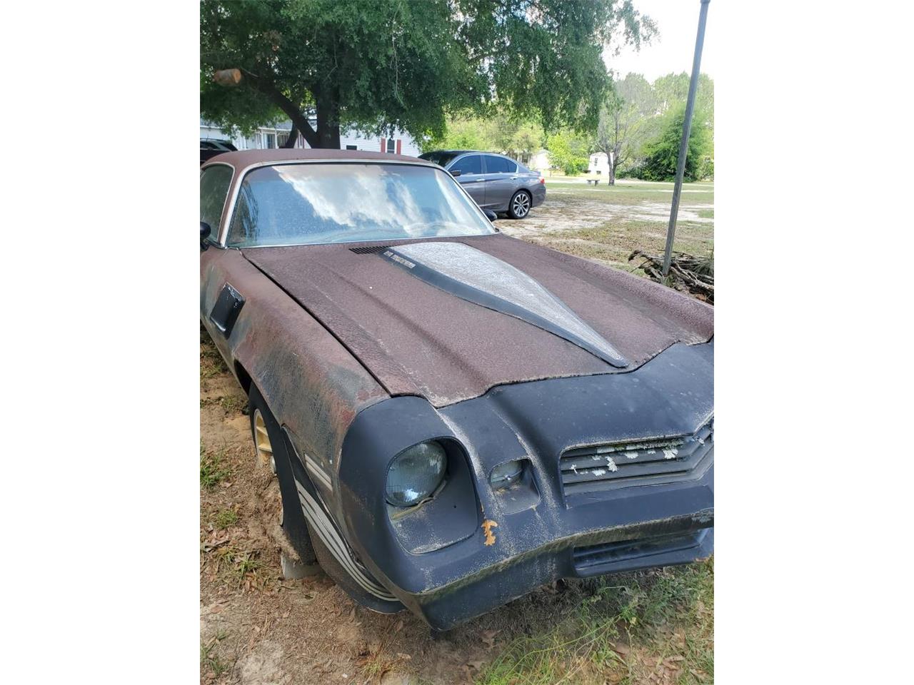 Chevrolet-Camaro-z28-1981-3