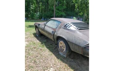 Chevrolet-Camaro-z28-1981-4