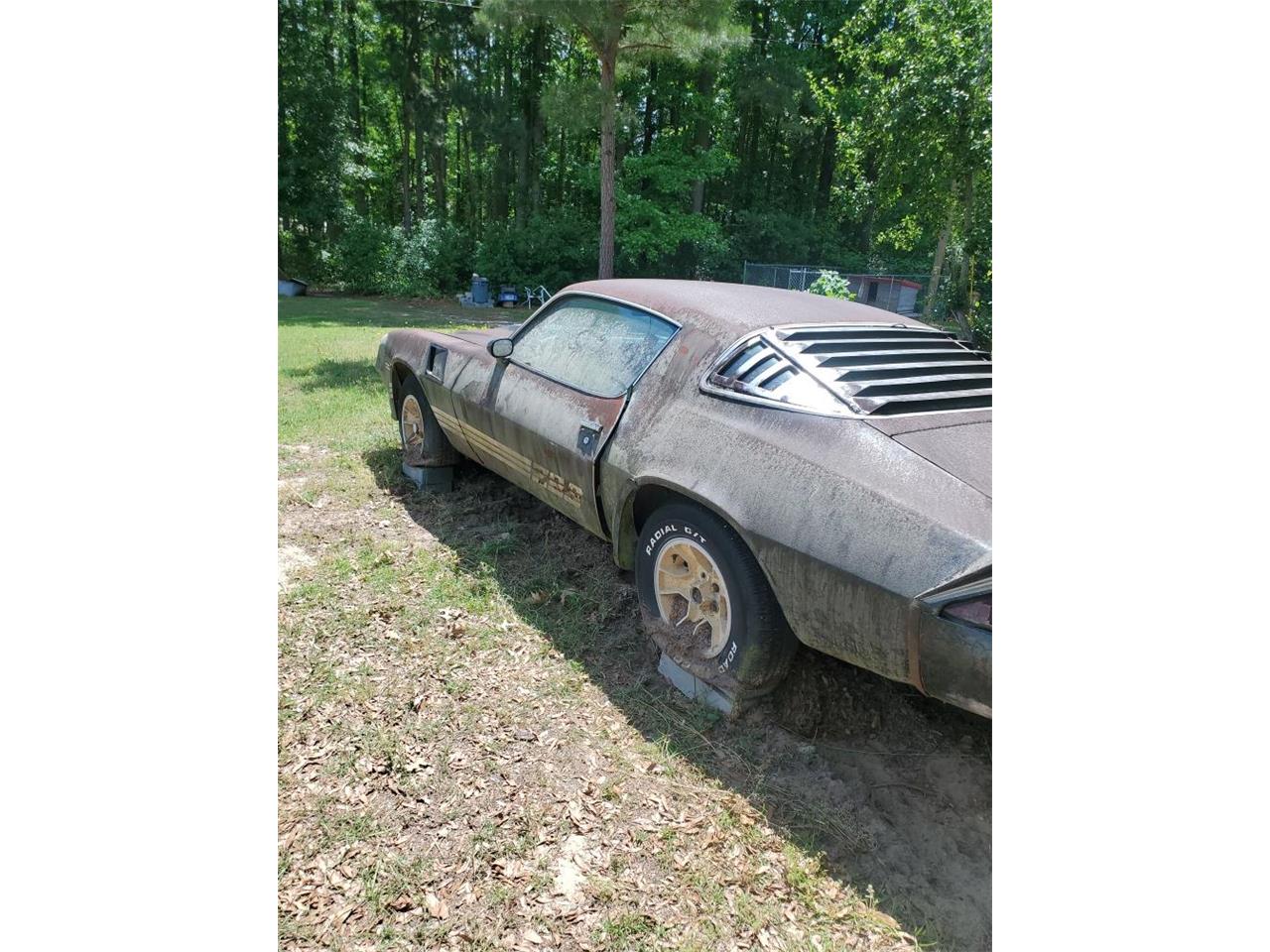 Chevrolet-Camaro-z28-1981-4