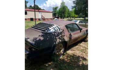 Chevrolet-Camaro-z28-1981-6