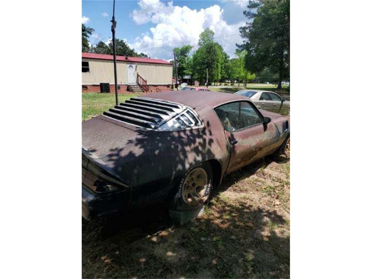 Chevrolet-Camaro-z28-1981-6