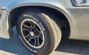 Chevrolet-Camaro-z28-1981-Silver-metallic-Gray-and-black-1